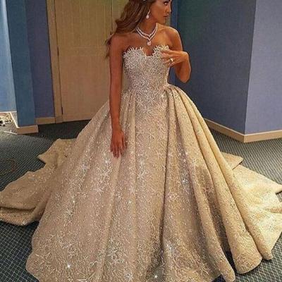 Luxurious A-Line Wedding Dress - Strapless Sleeveless Lace Court Train